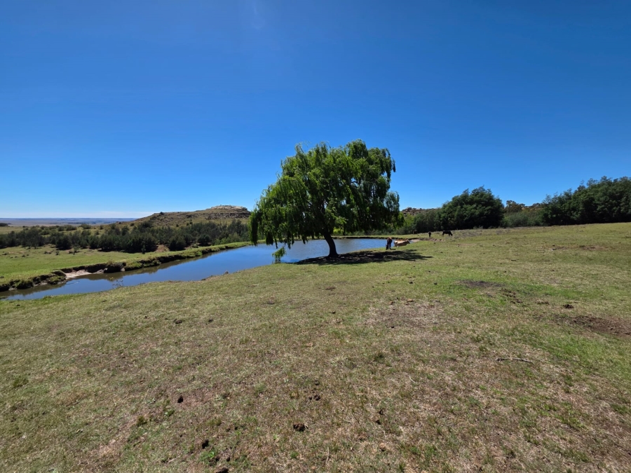 8 Bedroom Property for Sale in Bethlehem Rural Free State